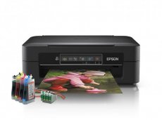 изображение Epson XP-245