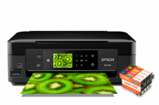 изображение Epson Expression Home XP-434