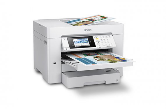 изображение Epson EC-C7000 3